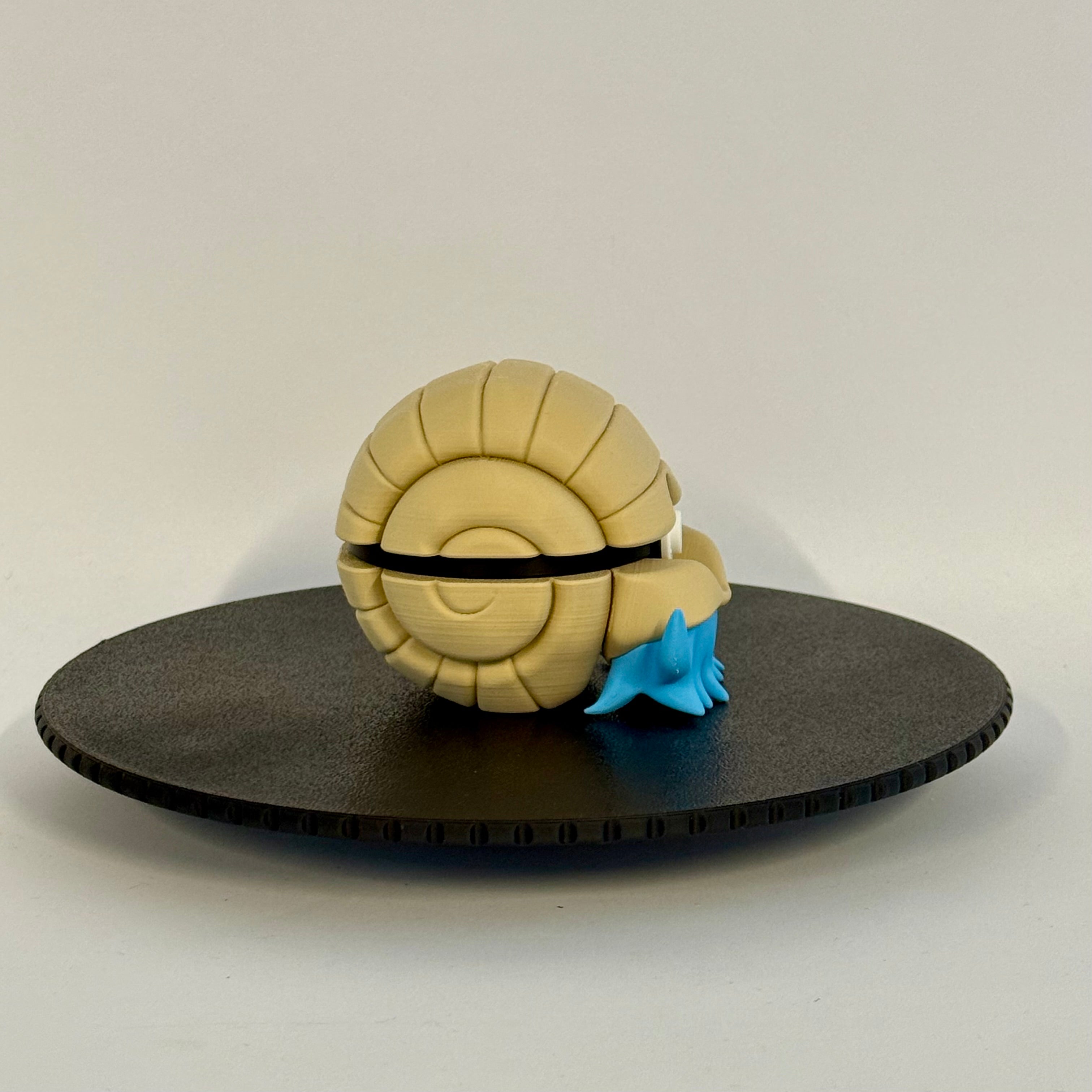 Omanyte Ball