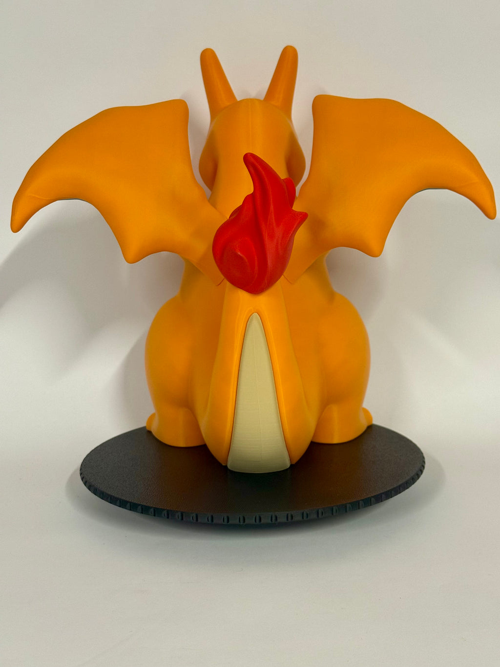 Window Charizard
